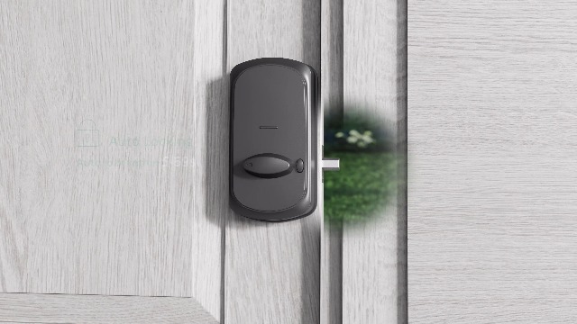 AkaGear DS10 Keyless Entry Door Lock with Handle Set - Fingerprint